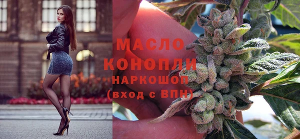 индика Балахна
