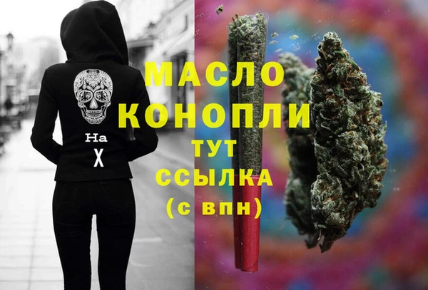 индика Балахна