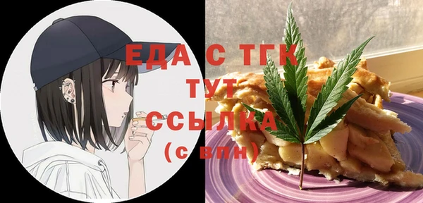 индика Балахна