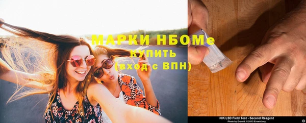 индика Балахна